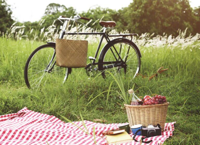 Outdoor picnic with books, a camera, a cup and a basket filled with grapes, apples and a drink on a red and white checked picnic blanket. Bicycle in background with rattan handbag hanging from handle