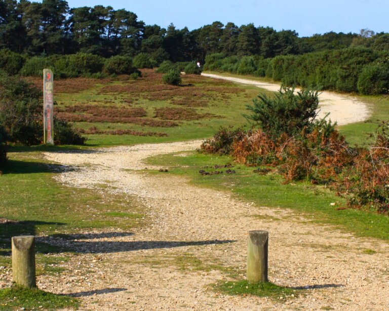 Walking / Running Trail in Ober Water, The New Forest